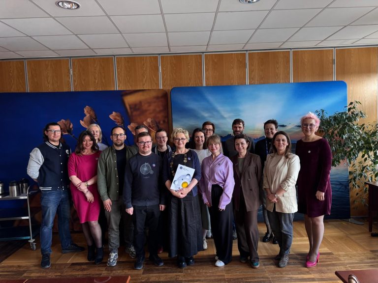 Regular YUFE Team Meeting and Appointment of WP Leaders